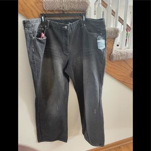 New Plus-Size Jeans  (24W)